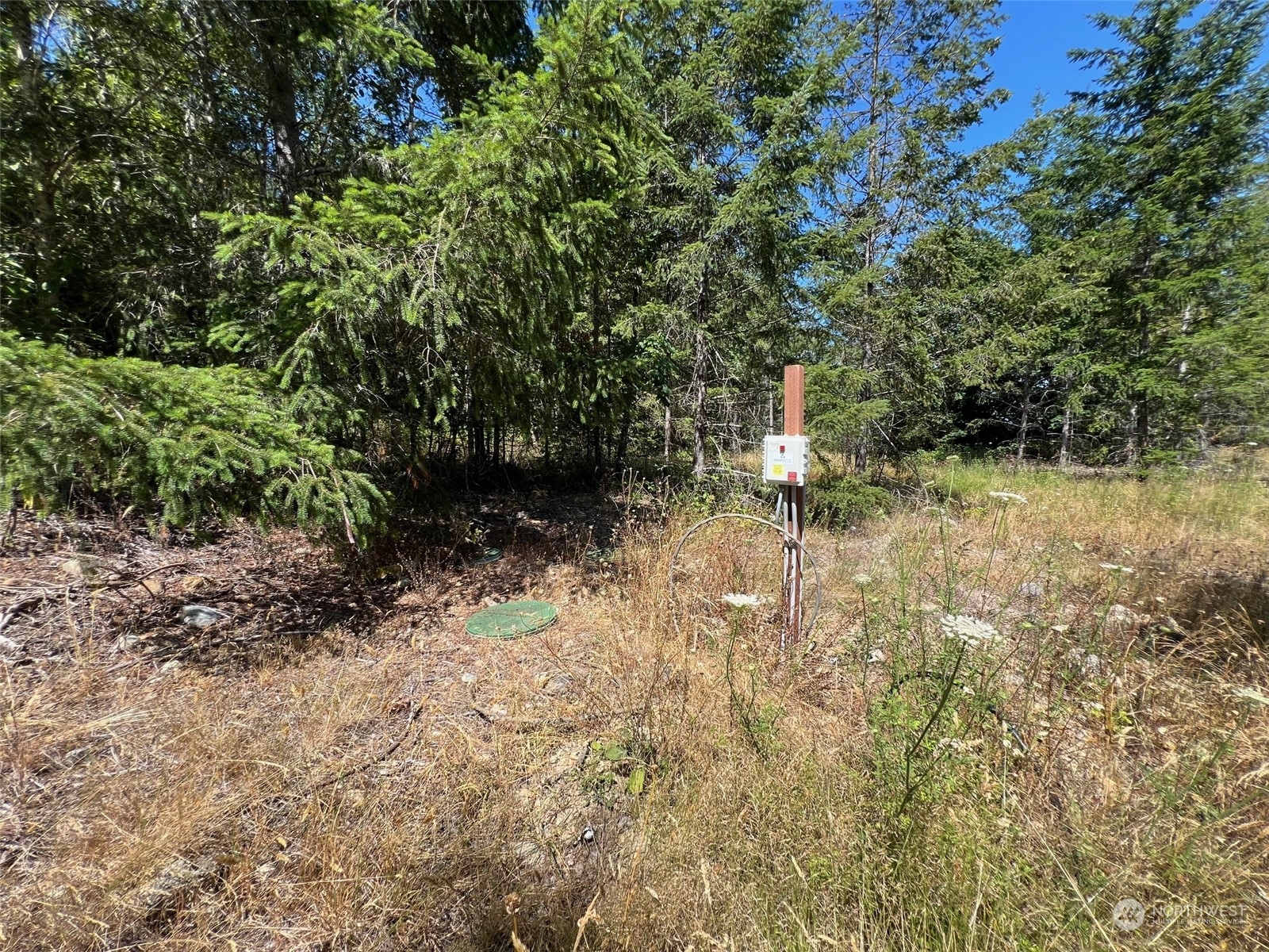 2-xxxx Mt Jupiter Road Brinnon, WA 98320 - Photo 19 of 28
