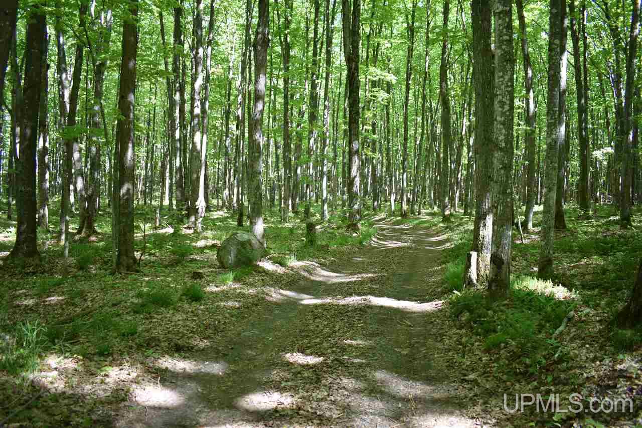 24-acres Co Rd Kb Big Bay, MI 49808 - Photo 29 of 50
