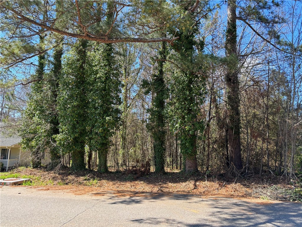 1419 Old Ivy Road Anderson, SC 29621 - Photo 2 of 4