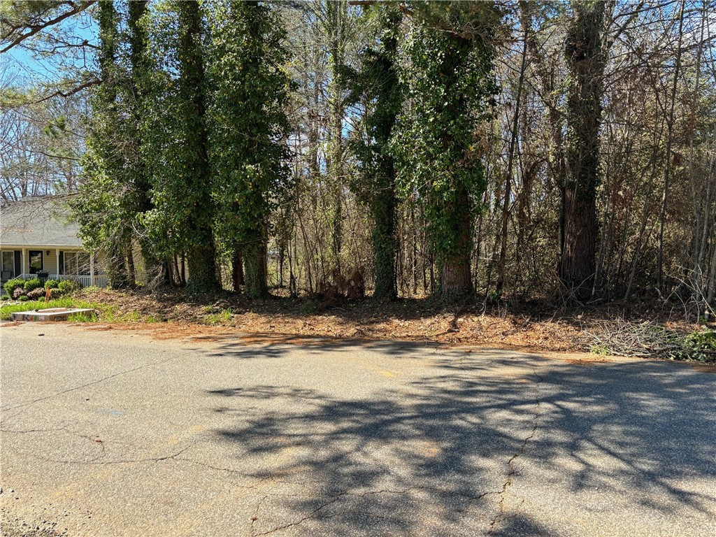 1419 Old Ivy Road Anderson, SC 29621 - Photo 3 of 4