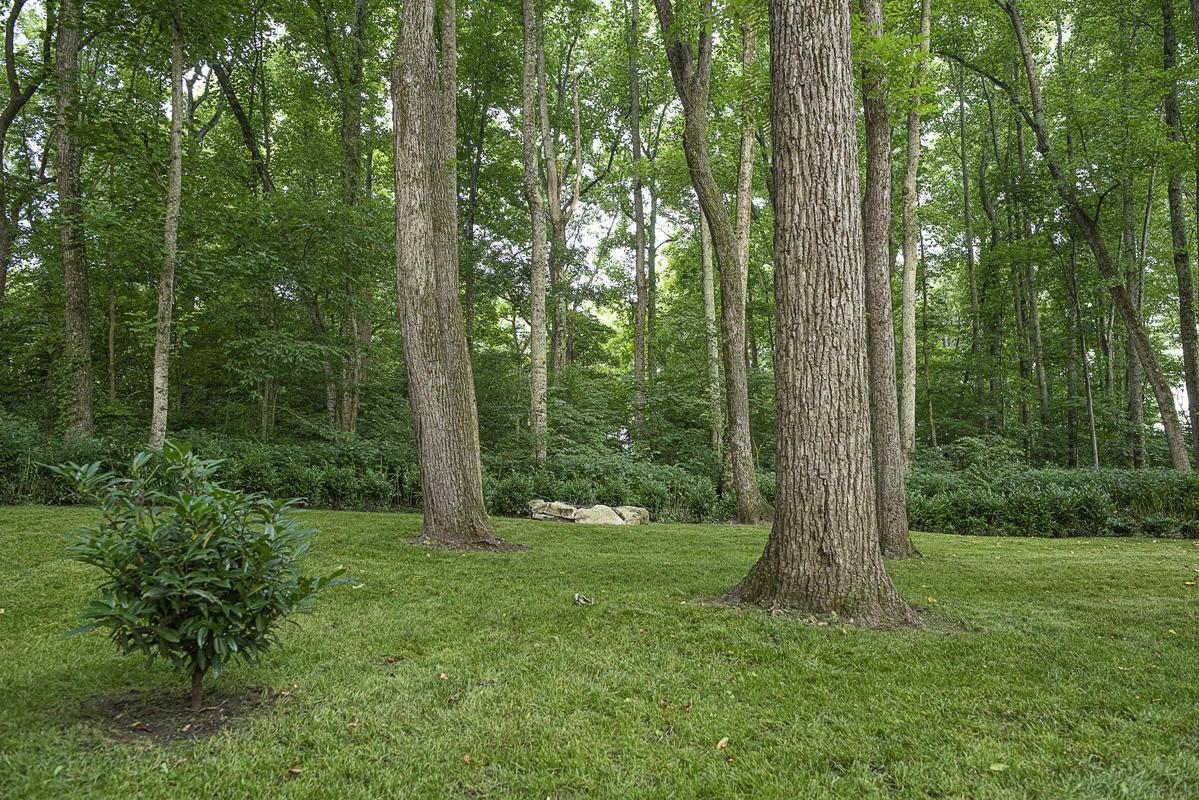 701 Indian Cave Road Monticello, KY 42633 - Photo 42 of 49 _WNU7966