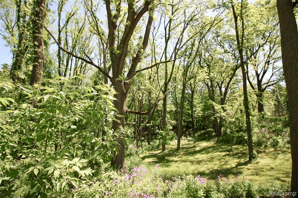 8372 Parshallville Road Fenton, MI 48430 - Photo 43 of 44