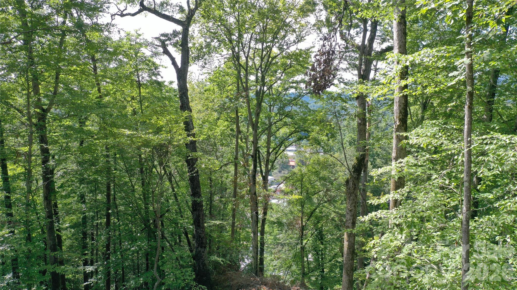 79 Bacon Drive, Unit 3 Bryson City, NC 28713 - Photo 15 of 20