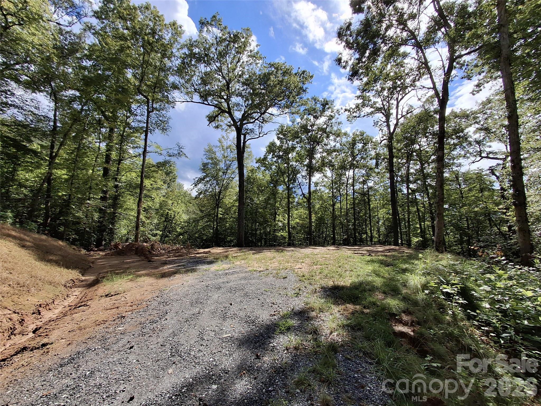 79 Bacon Drive, Unit 3 Bryson City, NC 28713 - Photo 3 of 20