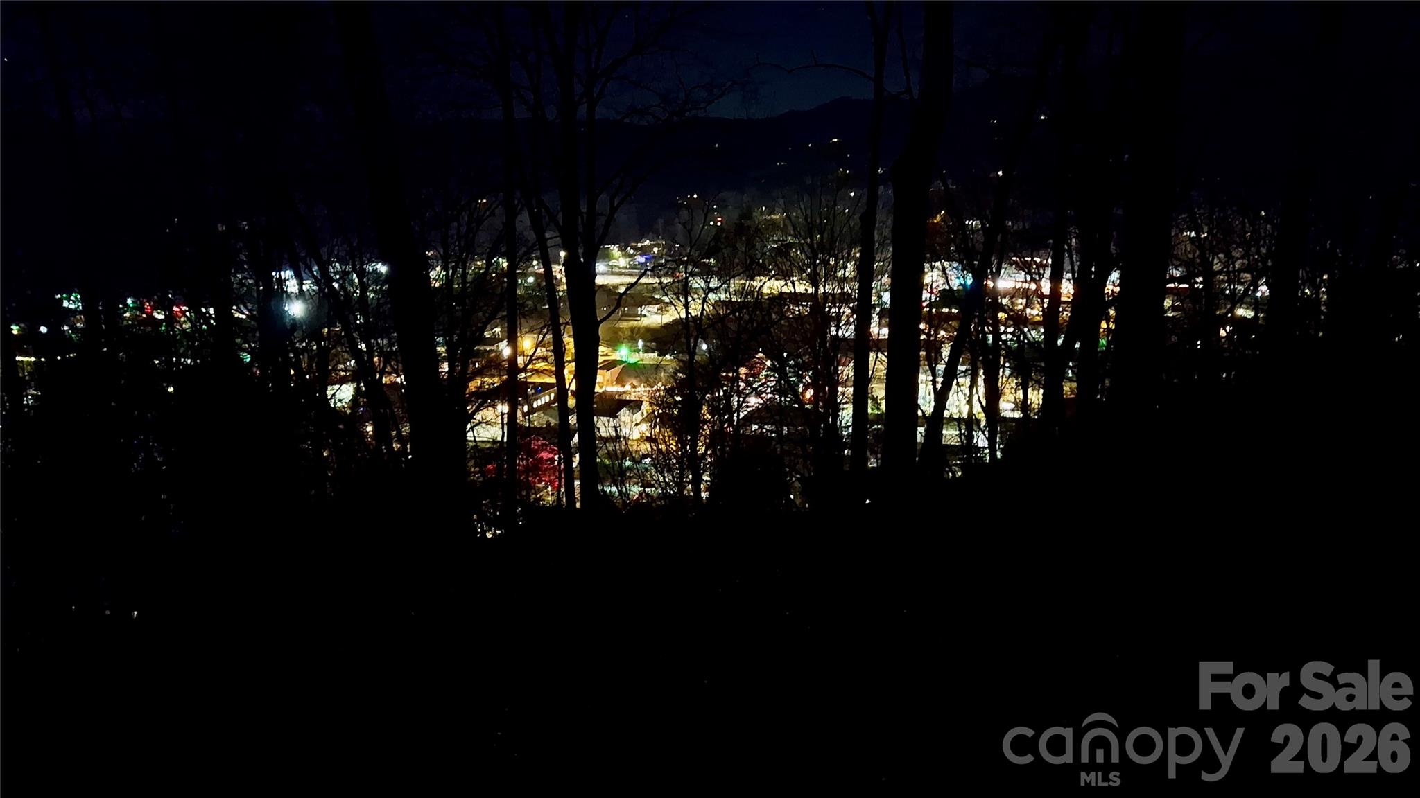 79 Bacon Drive, Unit 3 Bryson City, NC 28713 - Photo 4 of 20