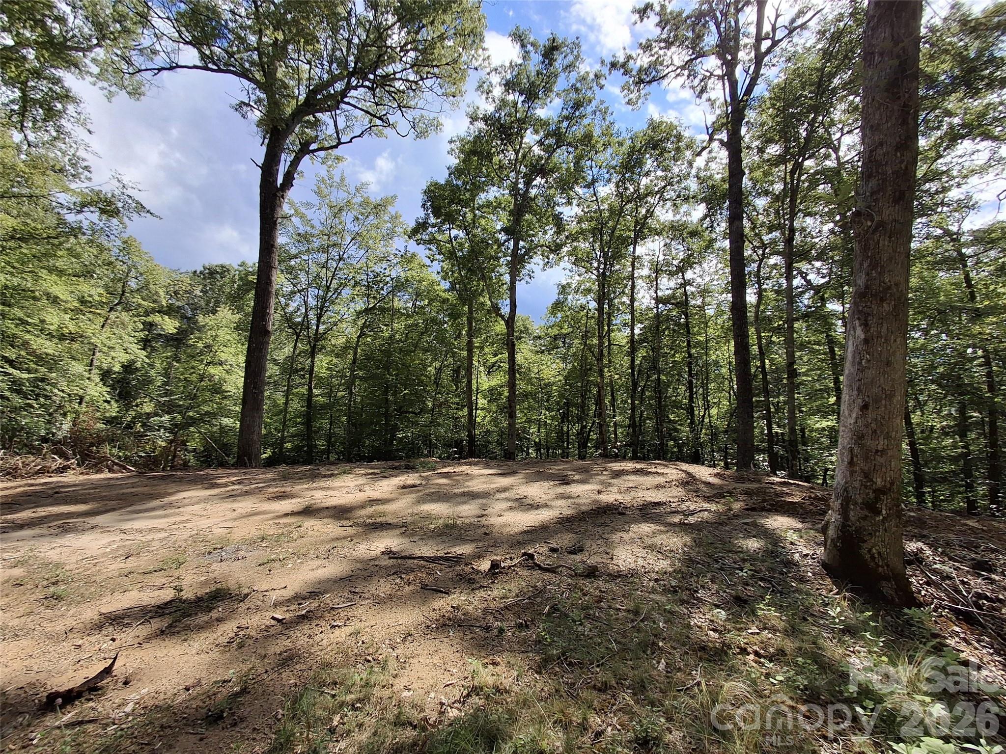 79 Bacon Drive, Unit 3 Bryson City, NC 28713 - Photo 6 of 20