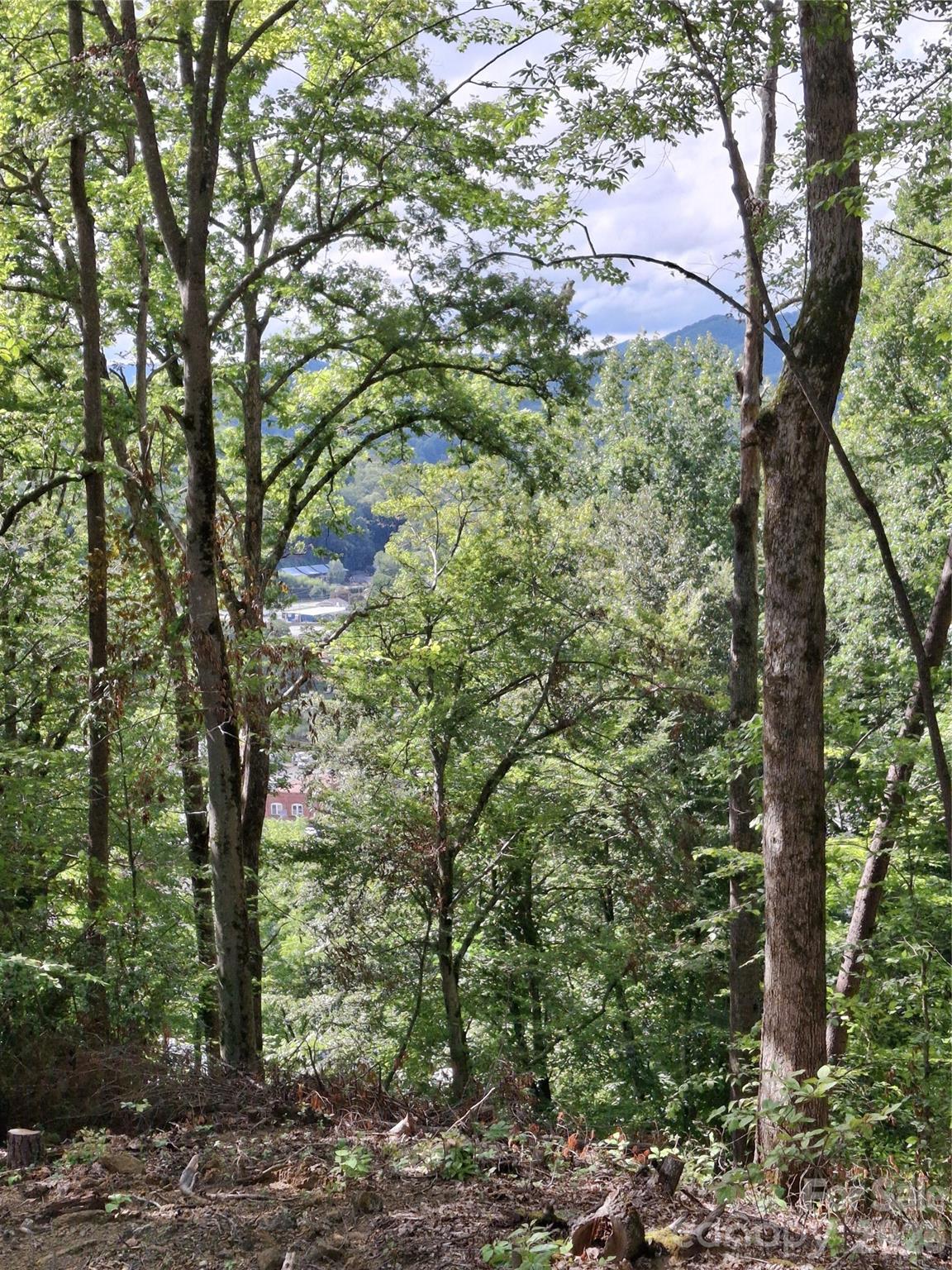 79 Bacon Drive, Unit 3 Bryson City, NC 28713 - Photo 7 of 20