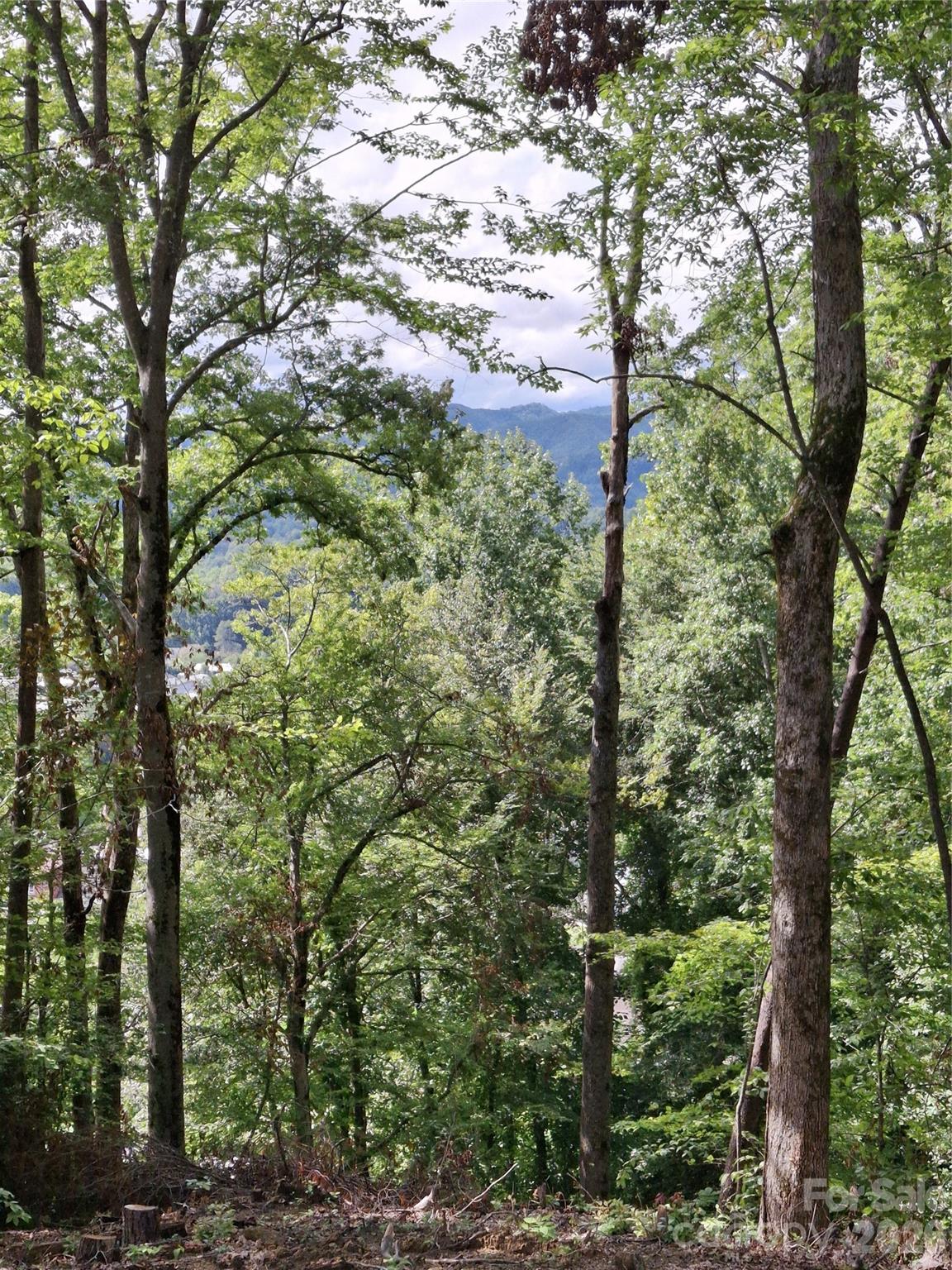 79 Bacon Drive, Unit 3 Bryson City, NC 28713 - Photo 8 of 20