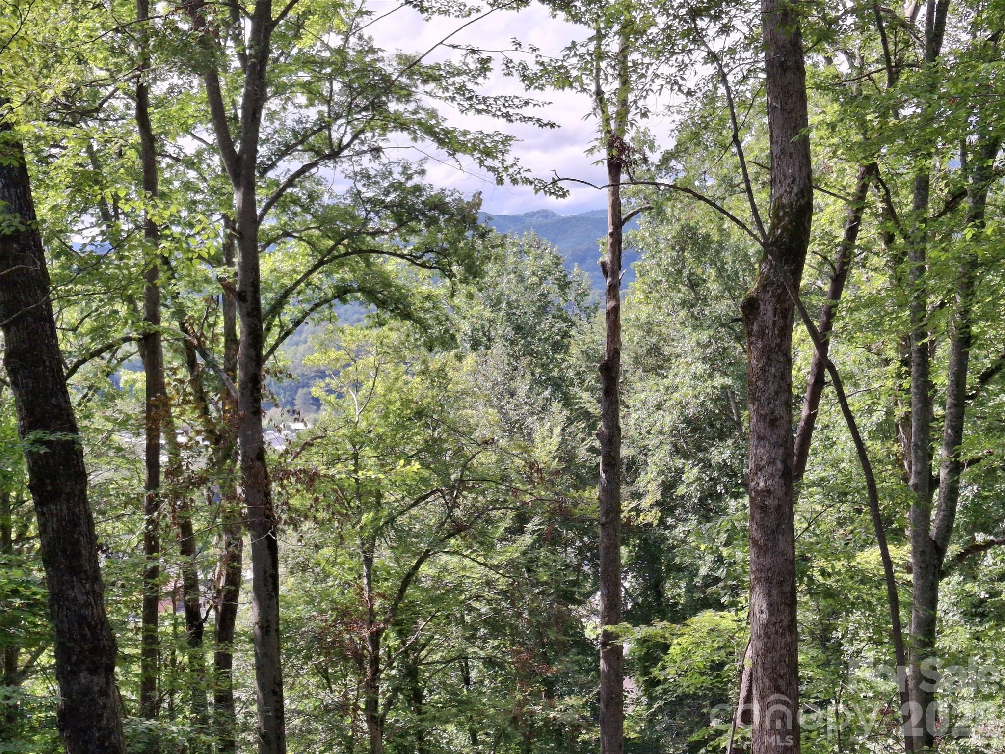 79 Bacon Drive, Unit 3 Bryson City, NC 28713 - Photo 9 of 20