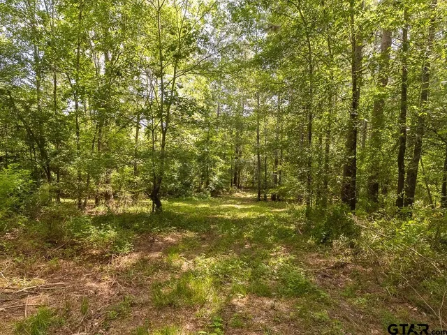 $275,000 | 0 County Road 3218, Mount Enterprise, TX 75681