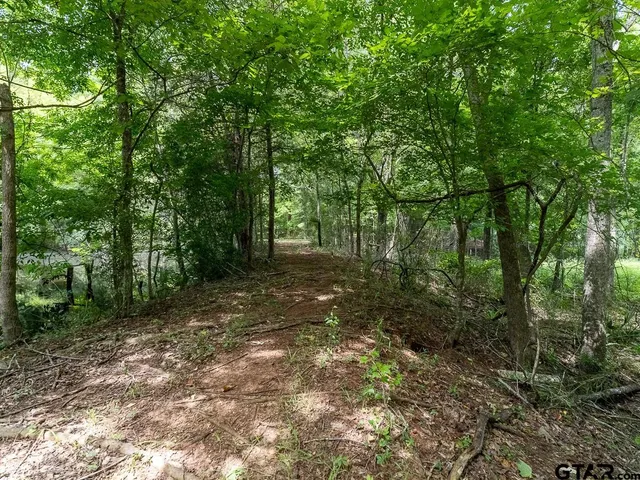 $275,000 | 0 County Road 3218, Mount Enterprise, TX 75681
