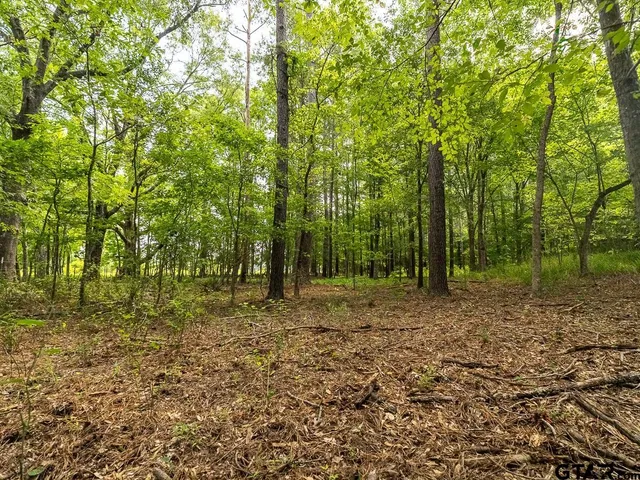 $275,000 | 0 County Road 3218, Mount Enterprise, TX 75681