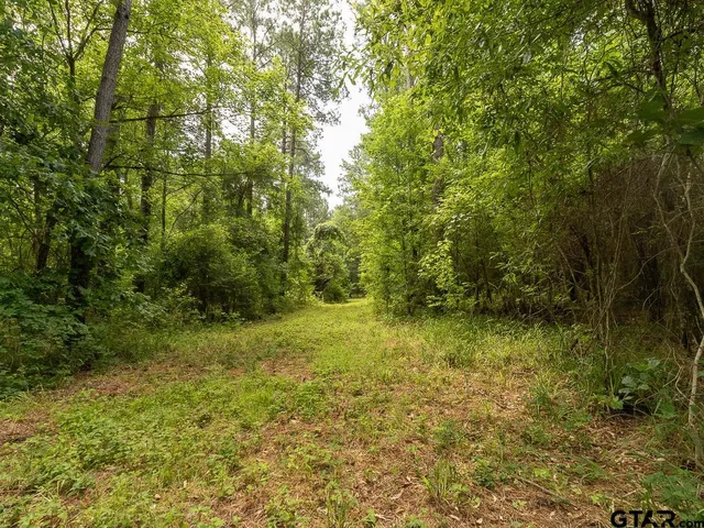 $275,000 | 0 County Road 3218, Mount Enterprise, TX 75681