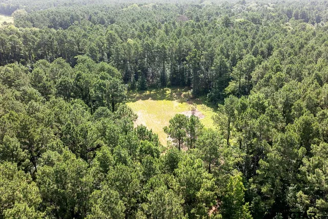 $275,000 | 0 County Road 3218, Mount Enterprise, TX 75681