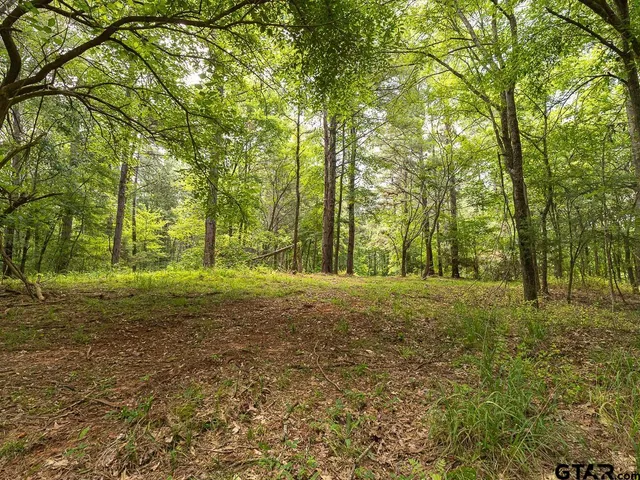 $275,000 | 0 County Road 3218, Mount Enterprise, TX 75681