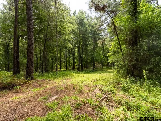 $275,000 | 0 County Road 3218, Mount Enterprise, TX 75681