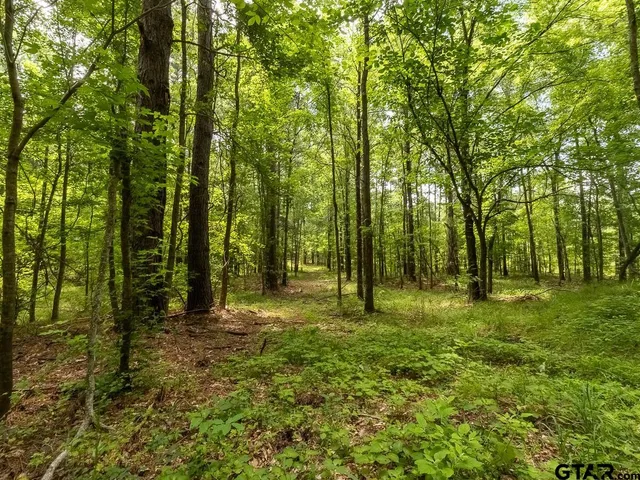 $275,000 | 0 County Road 3218, Mount Enterprise, TX 75681