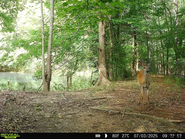 $275,000 | 0 County Road 3218, Mount Enterprise, TX 75681