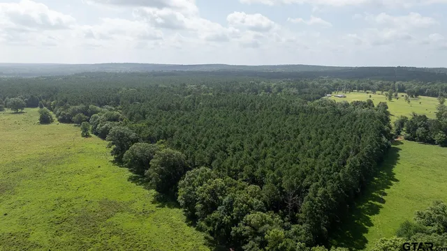 $275,000 | 0 County Road 3218, Mount Enterprise, TX 75681