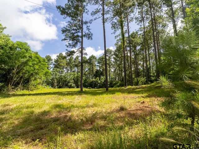 $275,000 | 0 County Road 3218, Mount Enterprise, TX 75681