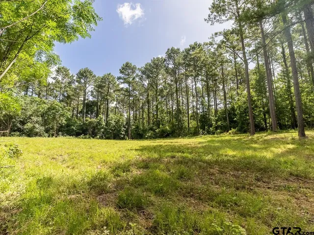 $275,000 | 0 County Road 3218, Mount Enterprise, TX 75681