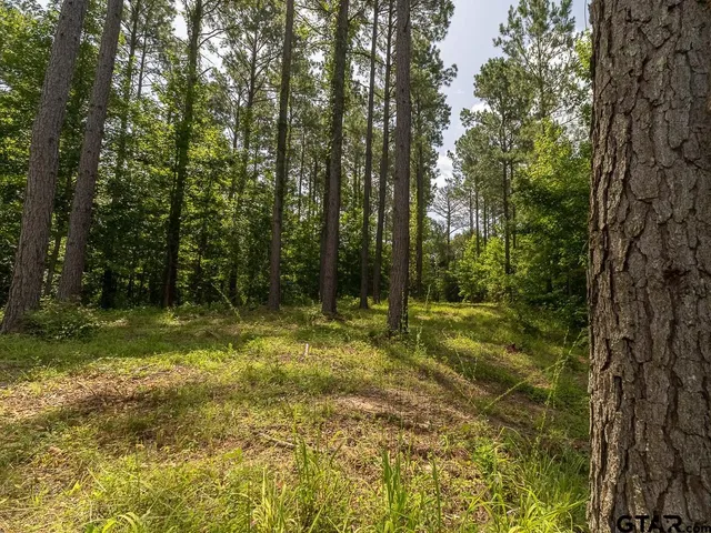 $275,000 | 0 County Road 3218, Mount Enterprise, TX 75681