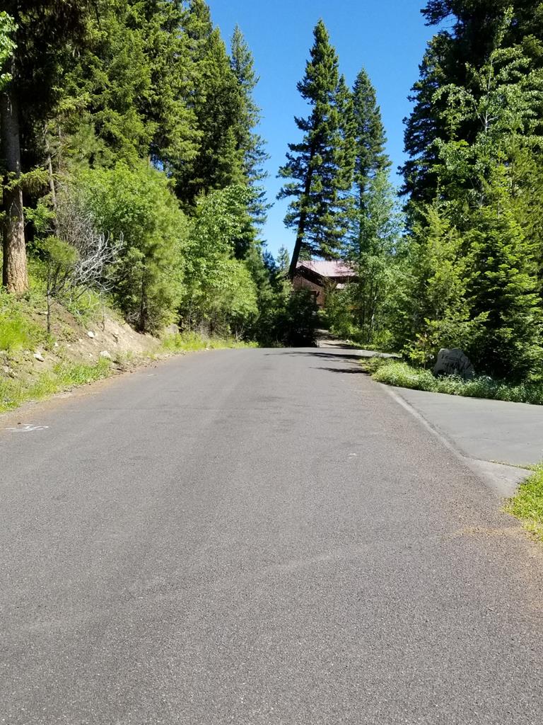 Tbd Divot Lane, Unit 4 McCall, ID 83638 - Photo 11 of 18 Street view North