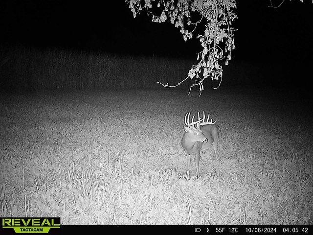 17797 Dayton Ridge Road Muscoda, WI 53573 - Photo 54 of 75