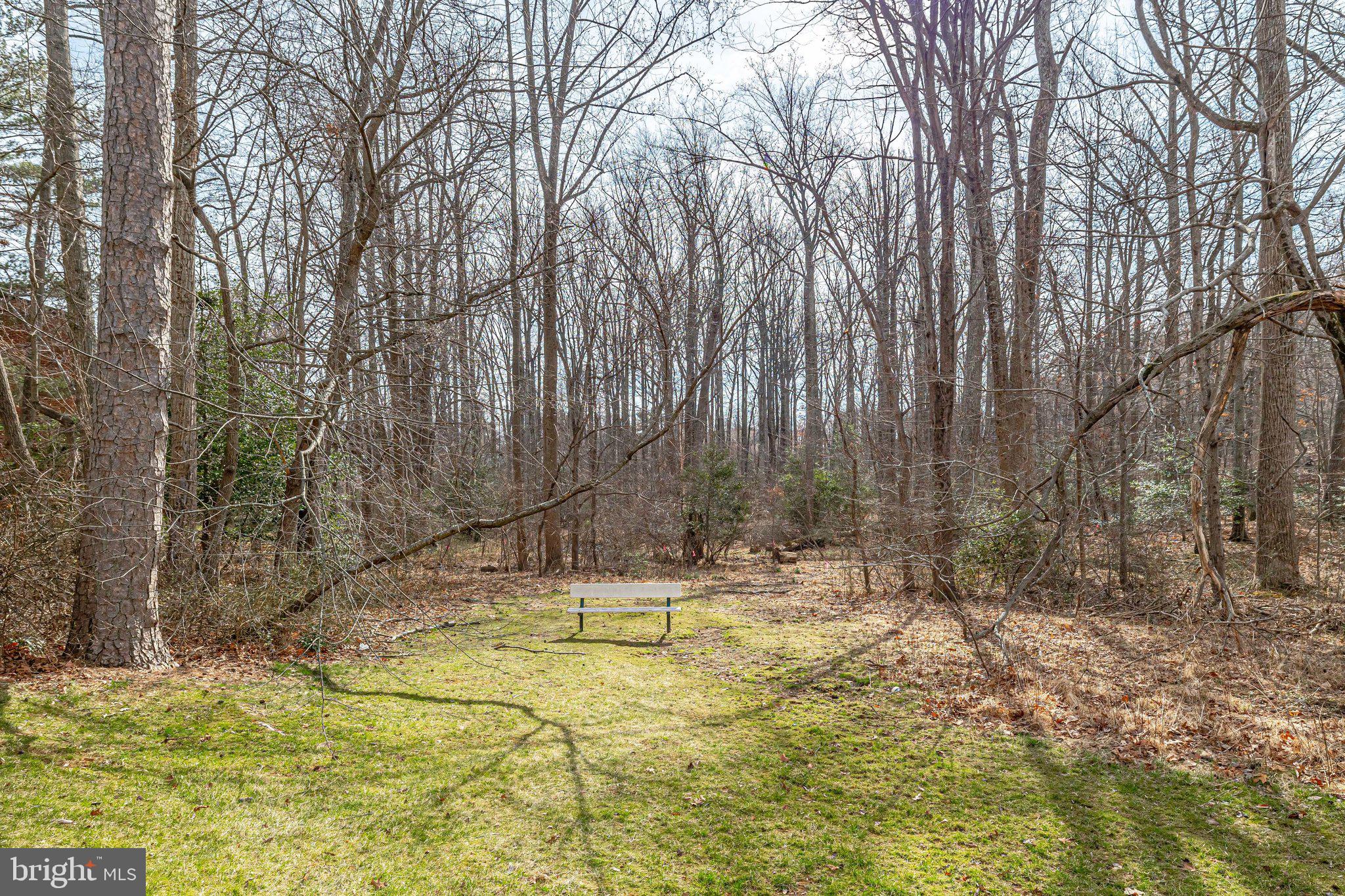 11843 Shire Court, Unit 22C Reston, VA 20191 - Photo 25 of 28 Community Area