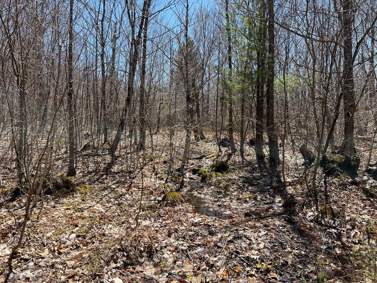 Lot #8 Rabbit Run Road Moscow, ME 04920 - Photo 8 of 9 IMG_4412