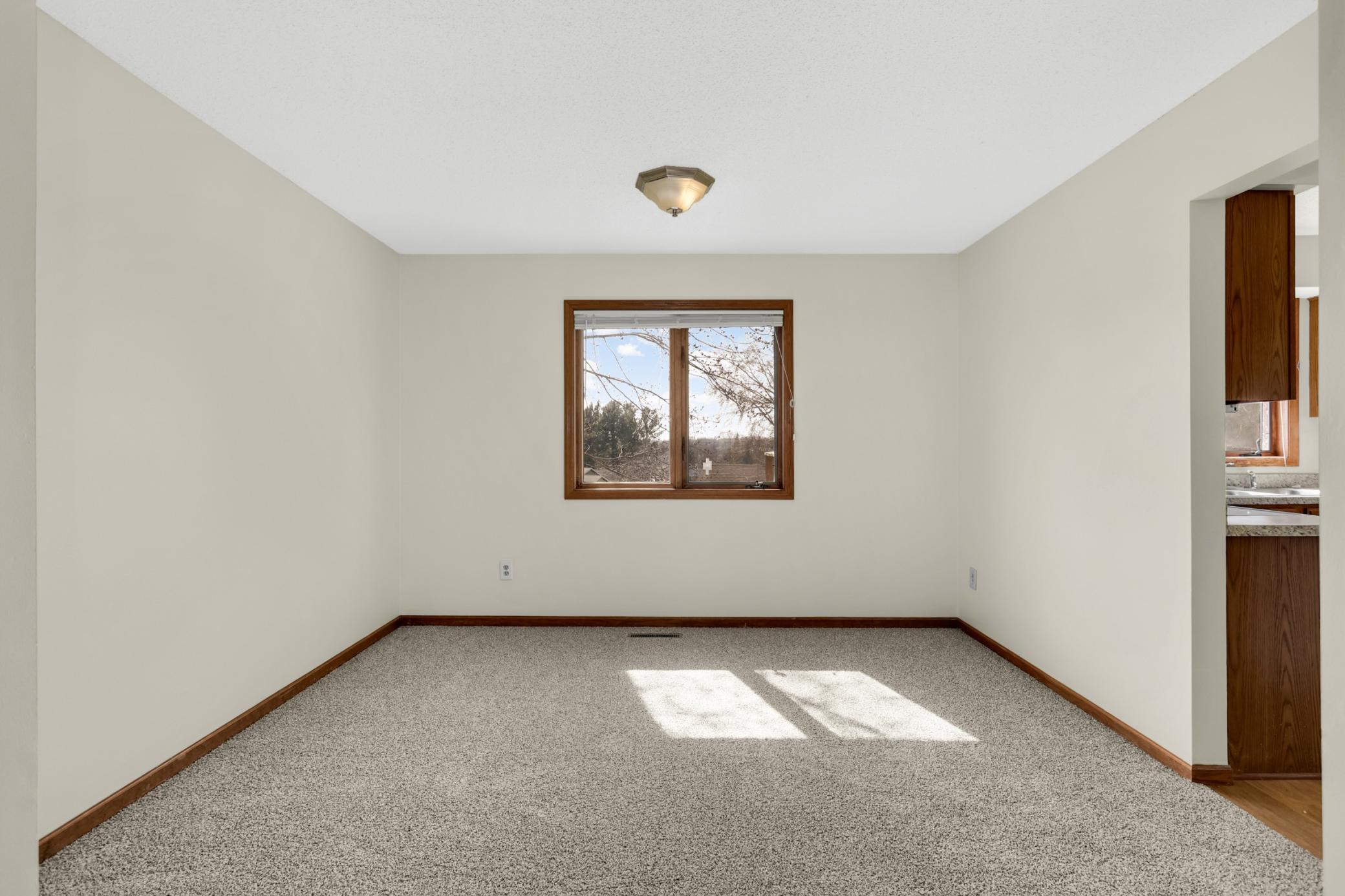 14110 Dearborn Path Rosemount, MN 55068 - Photo 13 of 40