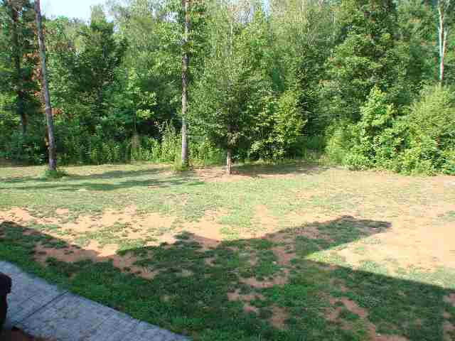 1374 Burdette Road Gray Court, SC 29645 - Photo 9 of 9