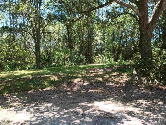 a backyard of a house with lots of green space