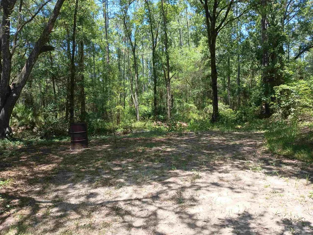 a view of outdoor space yard and patio