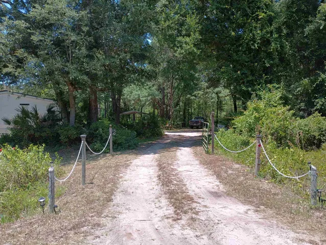 a view of a yard with a tree