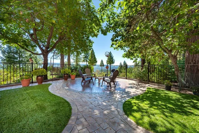 a view of a garden with trees