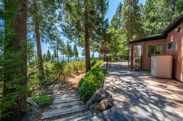 a view of a field with trees in the background