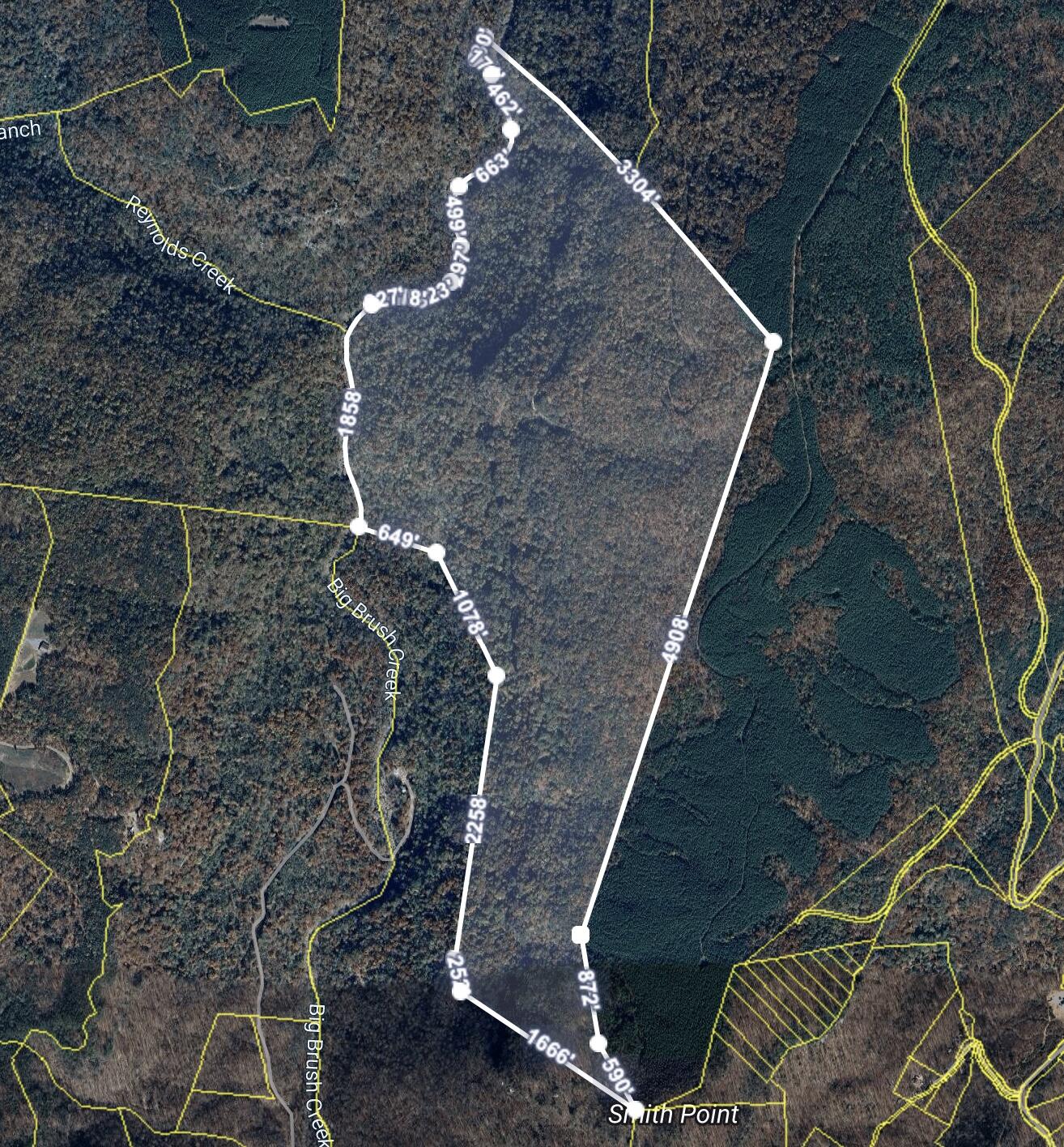 Image 1-14-26 at 4.19PM