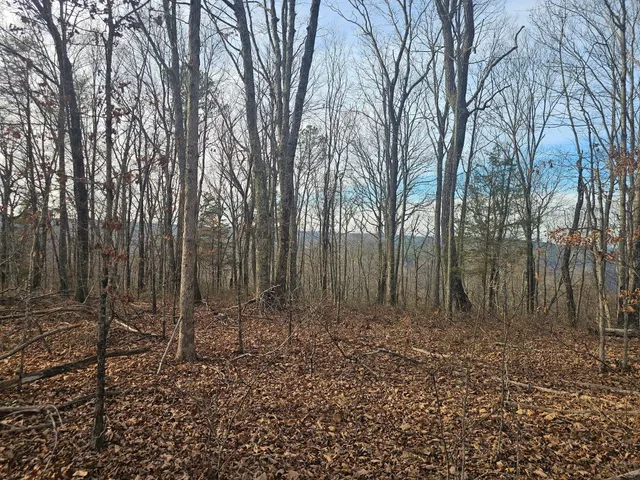 $969,900 | 29003.00 Smith Mountain Road, Dunlap, TN 37327