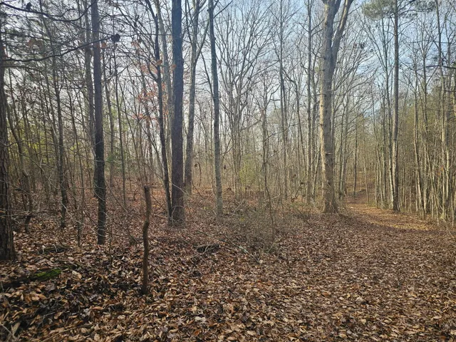 $969,900 | 29003.00 Smith Mountain Road, Dunlap, TN 37327