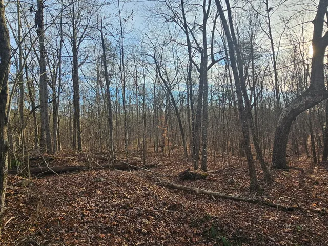 $969,900 | 29003.00 Smith Mountain Road, Dunlap, TN 37327