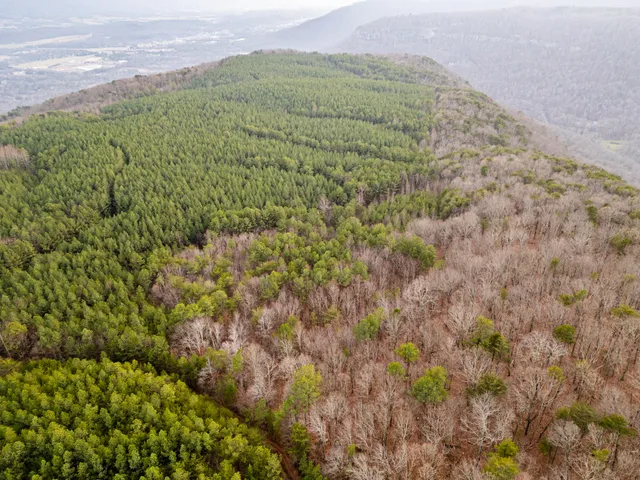 $969,900 | 29003.00 Smith Mountain Road, Dunlap, TN 37327