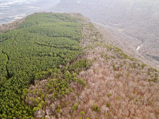 $969,900 | 29003.00 Smith Mountain Road, Dunlap, TN 37327