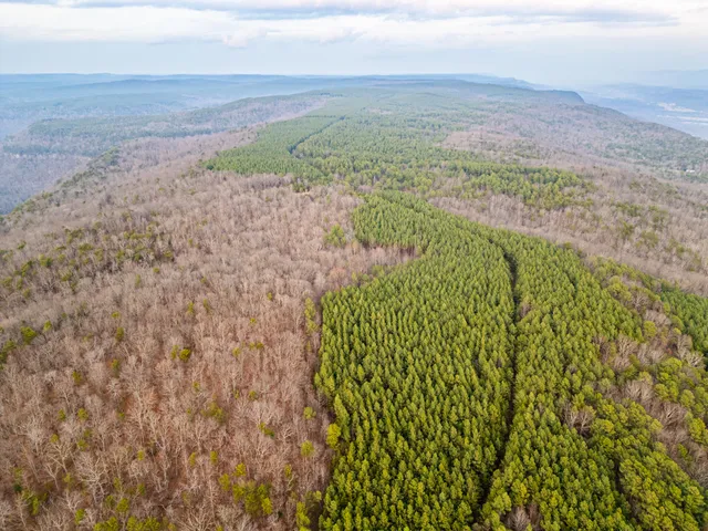 $969,900 | 29003.00 Smith Mountain Road, Dunlap, TN 37327