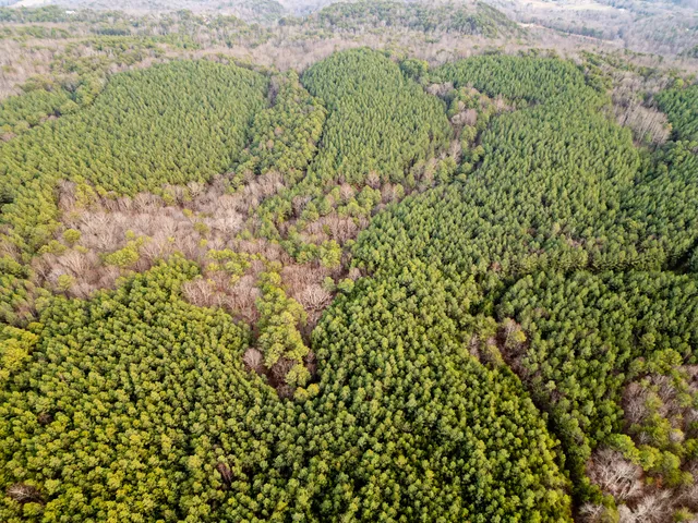 $969,900 | 29003.00 Smith Mountain Road, Dunlap, TN 37327