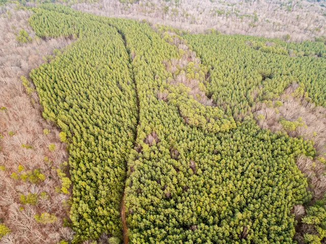 $969,900 | 29003.00 Smith Mountain Road, Dunlap, TN 37327