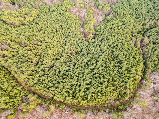 $969,900 | 29003.00 Smith Mountain Road, Dunlap, TN 37327