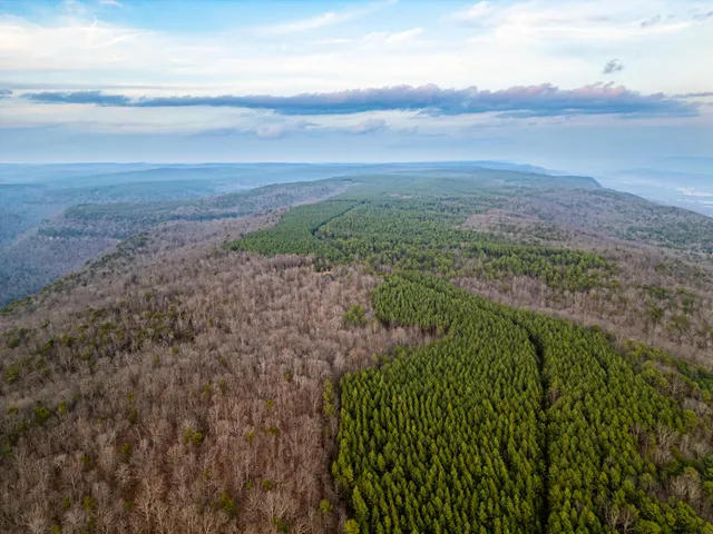 $969,900 | 29003.00 Smith Mountain Road, Dunlap, TN 37327