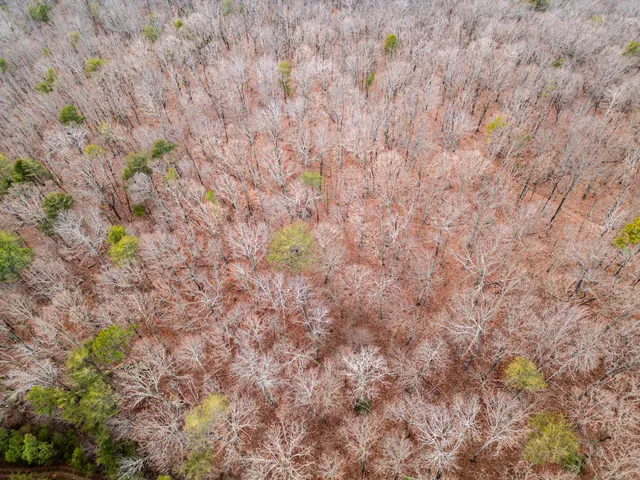 $969,900 | 29003.00 Smith Mountain Road, Dunlap, TN 37327