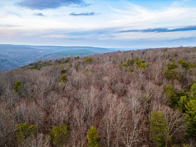 $969,900 | 29003.00 Smith Mountain Road, Dunlap, TN 37327